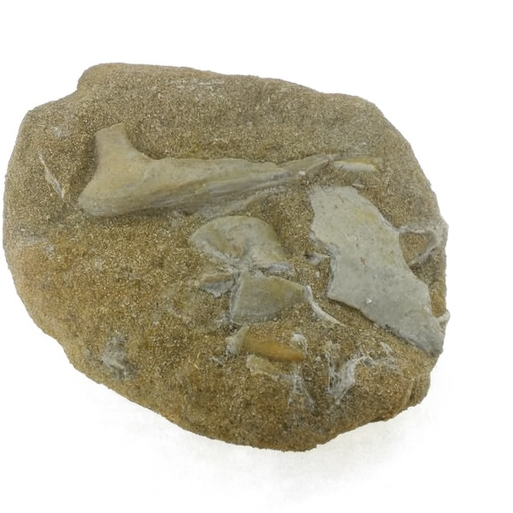 Fish Bones.
