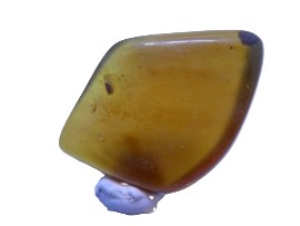 Fluorescent Blue Amber.